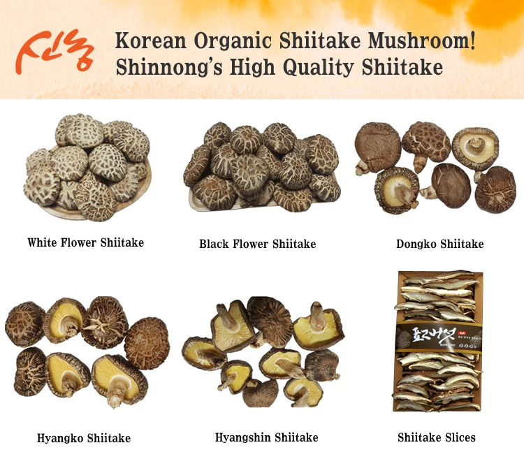 Shinnong_Shiitake