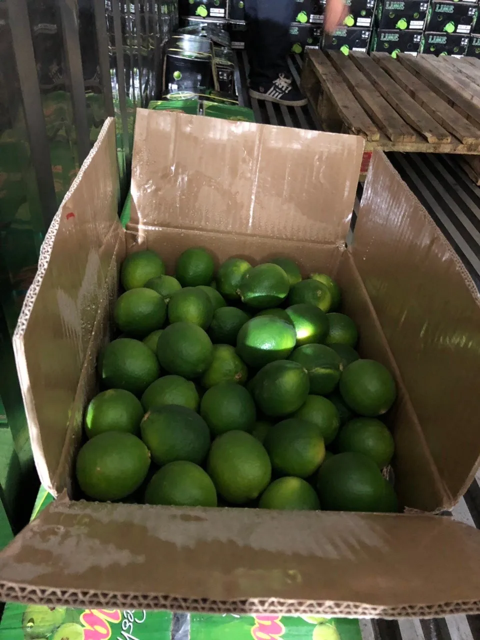 vietnamese lime (whatsapp +84972678053) 4