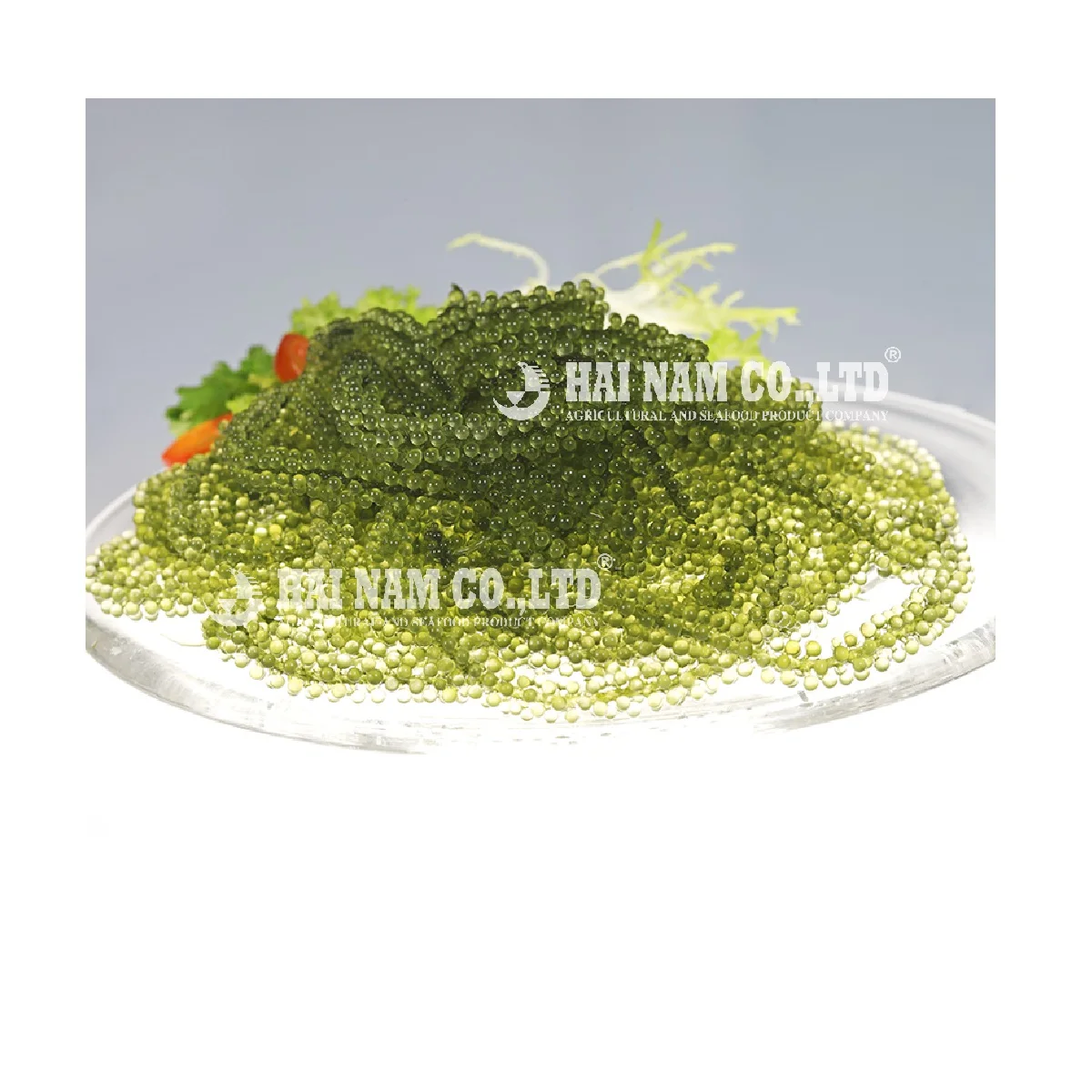 
Wholesale High Quality Characteristics Taste Fresh Salted Style Grape Seaweed Made In Vietnam 