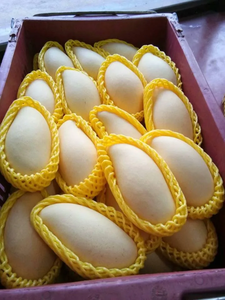 泰国水果新鲜 nam dok 麦黄金蜂蜜芒果从泰国