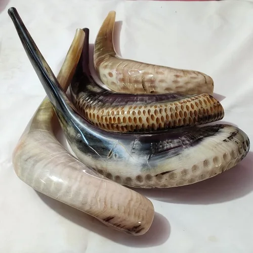 Oferta Venta Ram Cuerno Shofar 8to16 Pulgadas/kudu/pulido Shofar