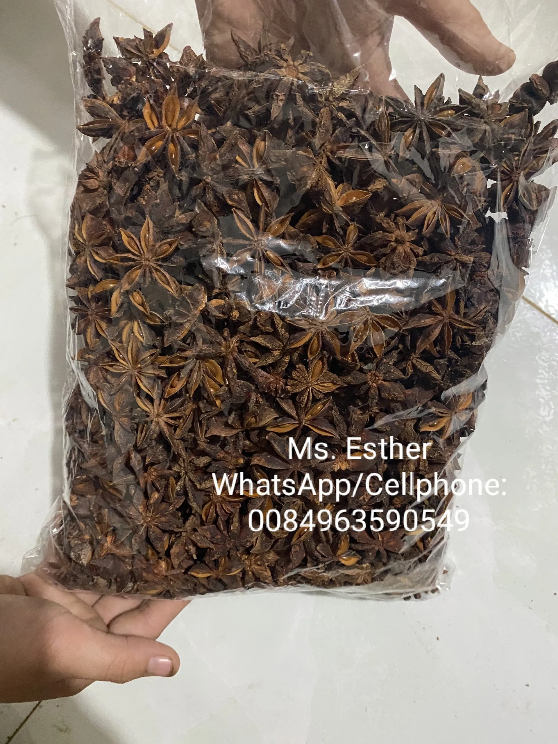 Wholesale Dried Spring Star Anise In Bulk Ms. Esther (whatsapp +84