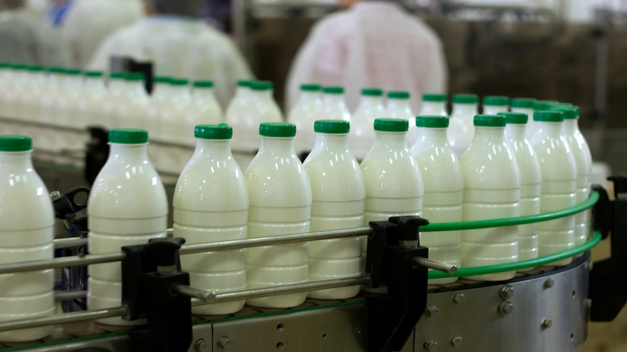 milk-processing.jpg