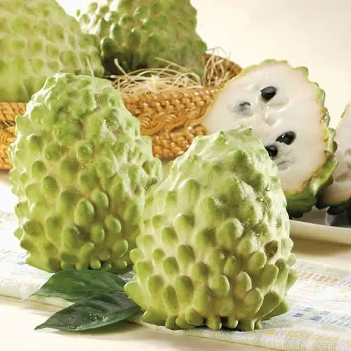 Fresh Soursop/ Graviola Whole Year Supply 2023 Good Price Buy