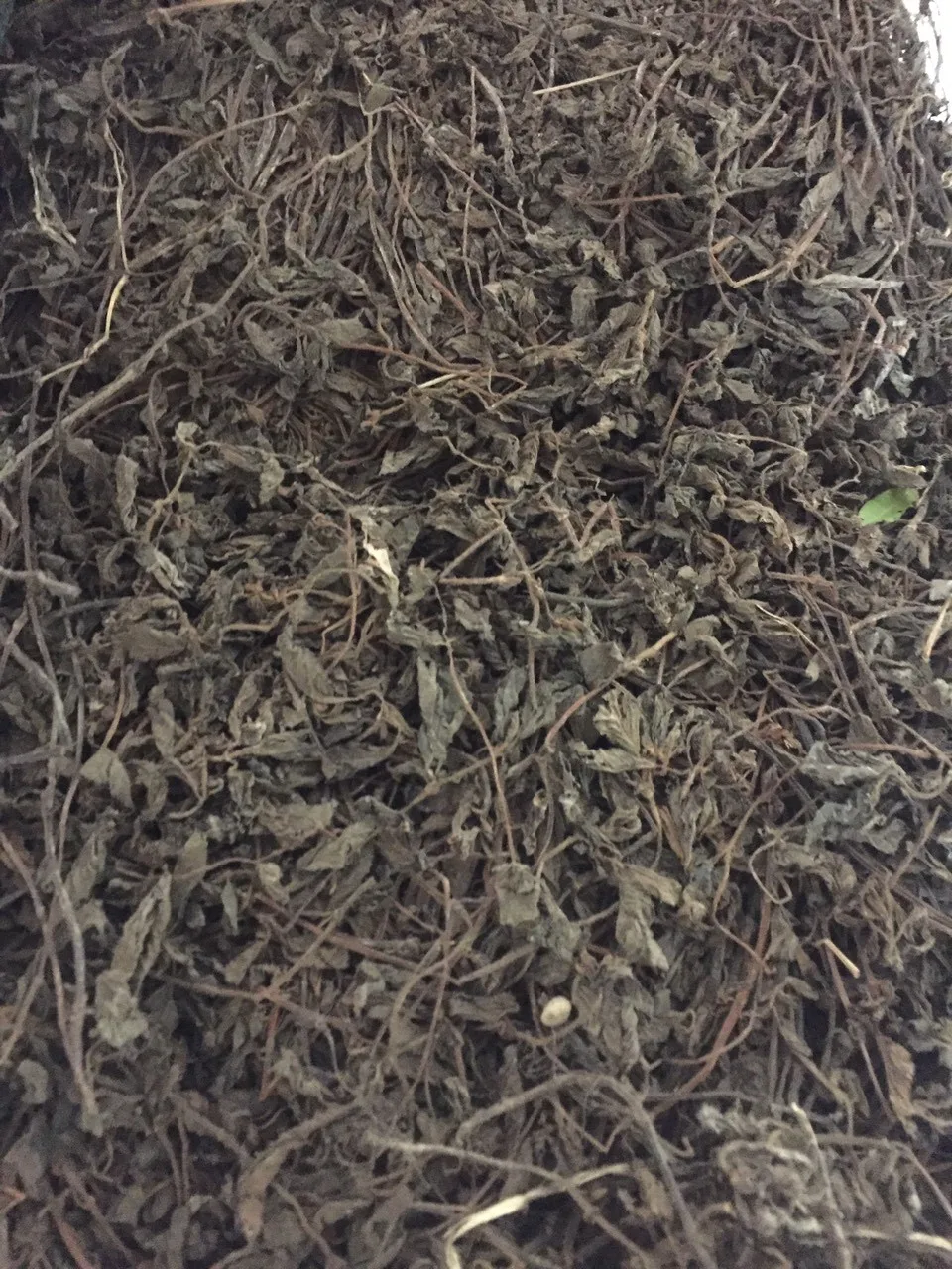 Jelly Grass Leaf/ Dried Black Jelly Grass/grass Jelly Leaves Sticks