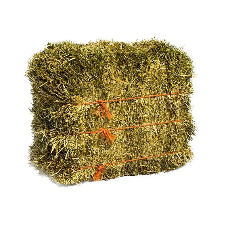 Alfalfa Hay Pellets Wholesale Price Buy Alfalfa Hey Pellet In Dubai
