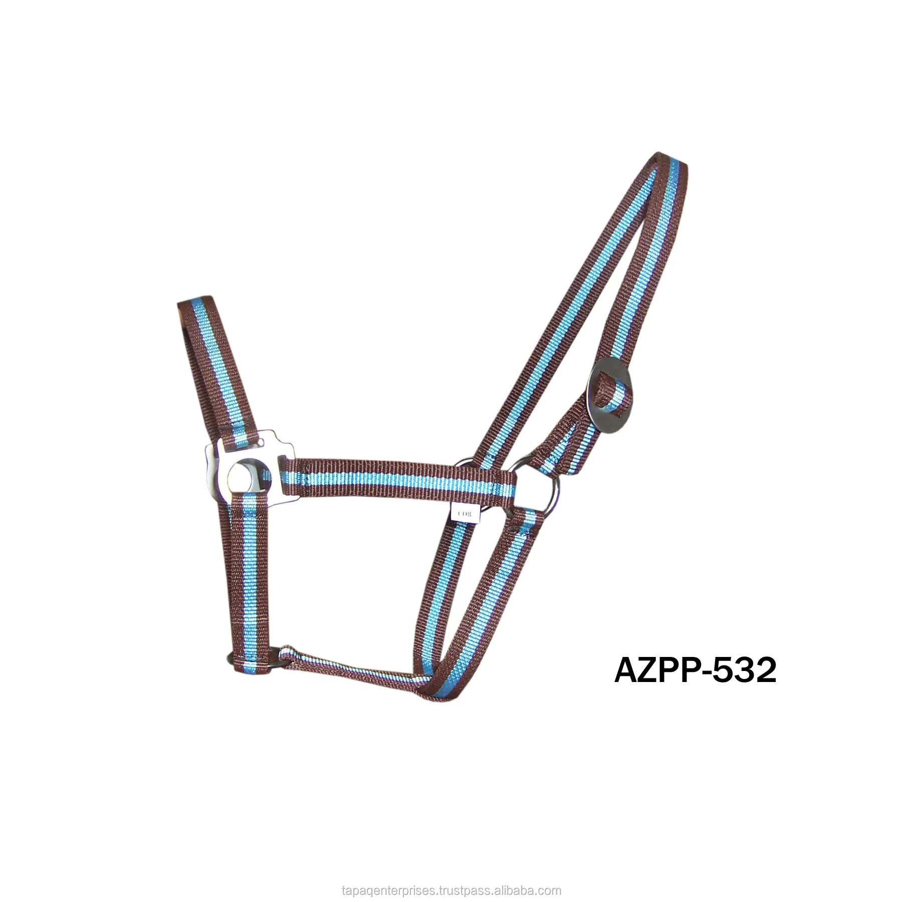 AZPP 532.jpg