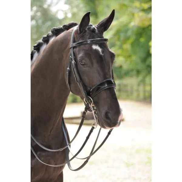 bridles for sale