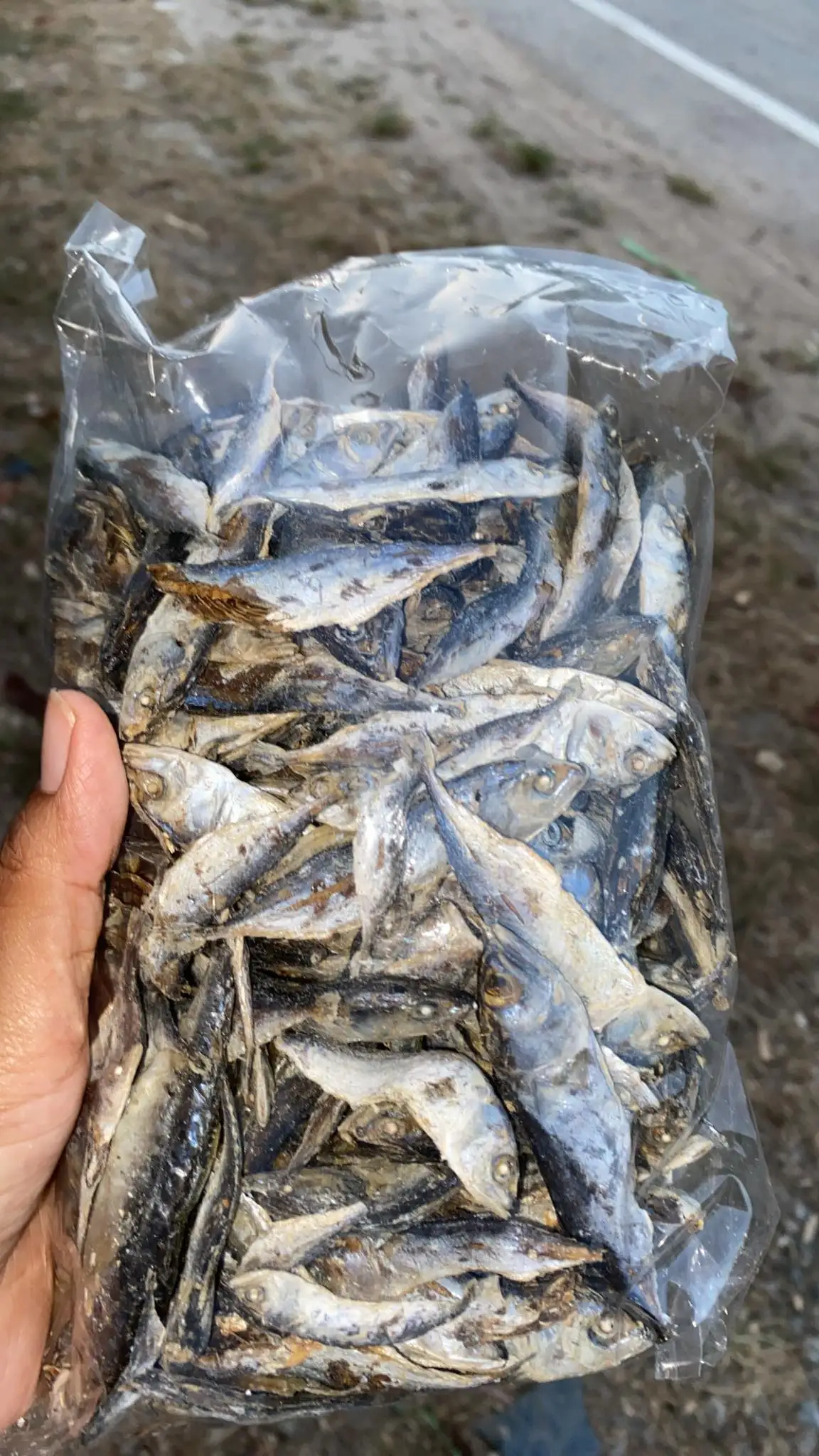 dried fish seafood mackerel hight quality from thailand - buy