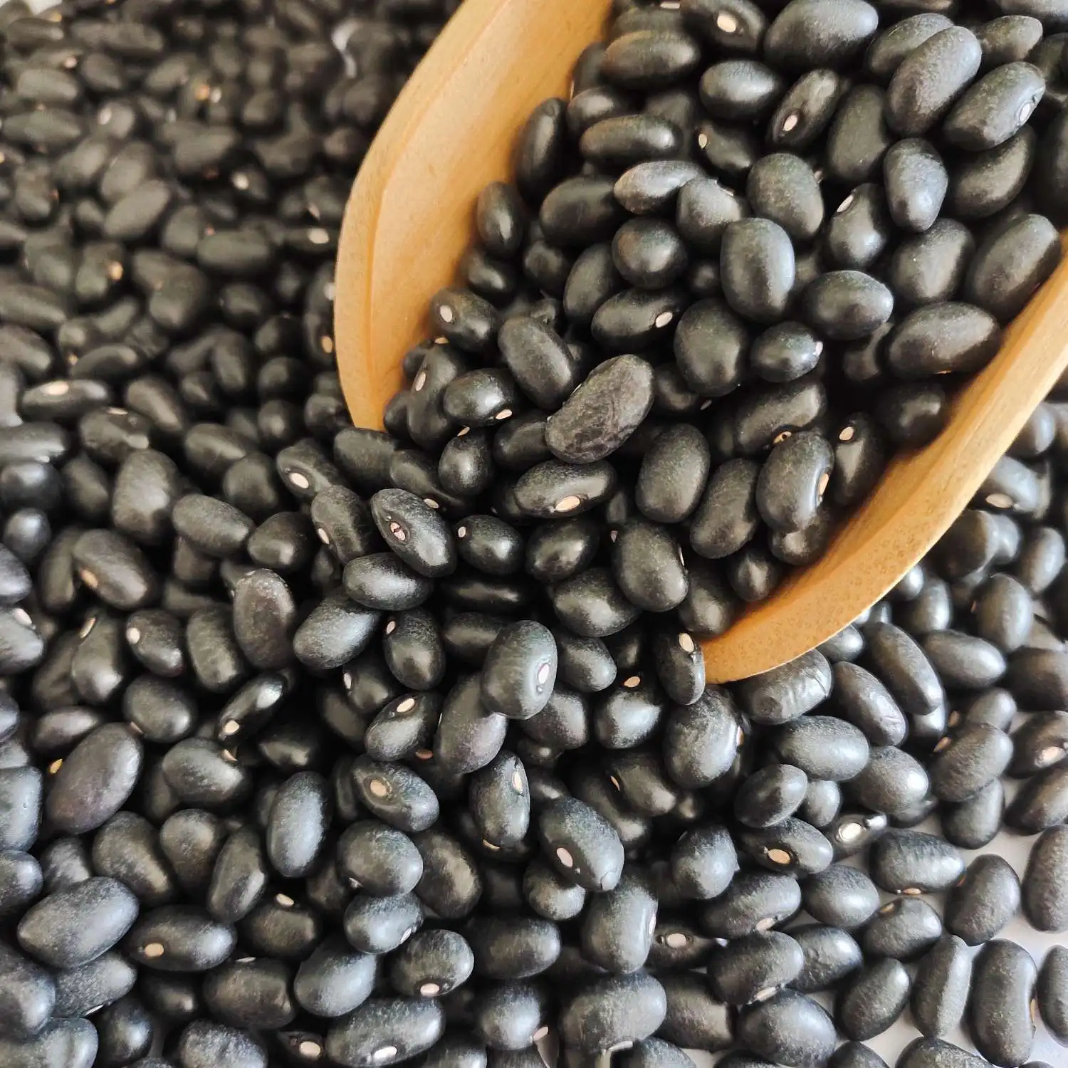 good grade quality black kidney beans