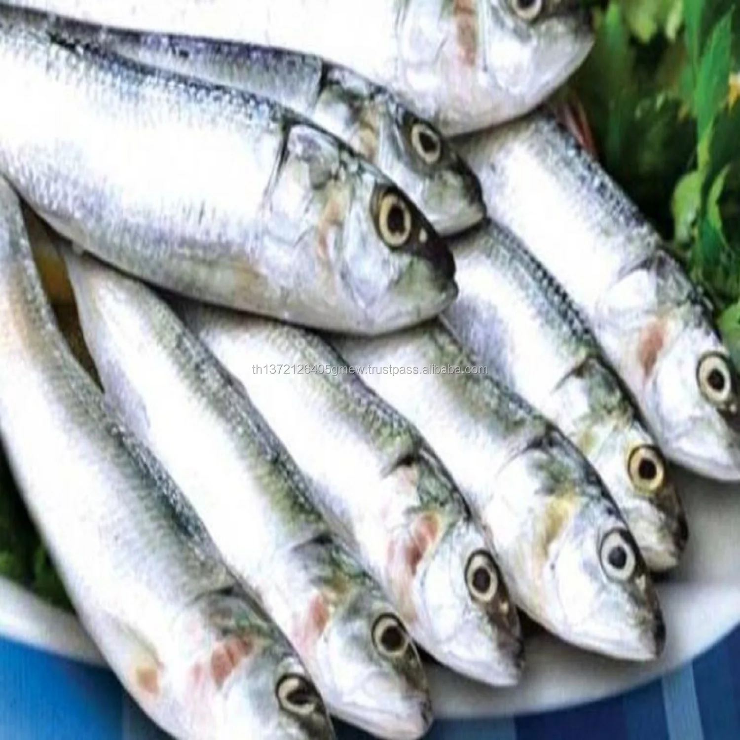 fresh-fish-delivery-1.jpeg