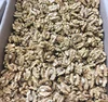 Dried Walnuts In Shell walnuts Kernels