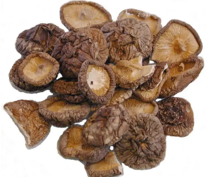 Natural Dry Shiitake Mushrooms Bulk Dried Mushrooms Contact Ms. Sandy