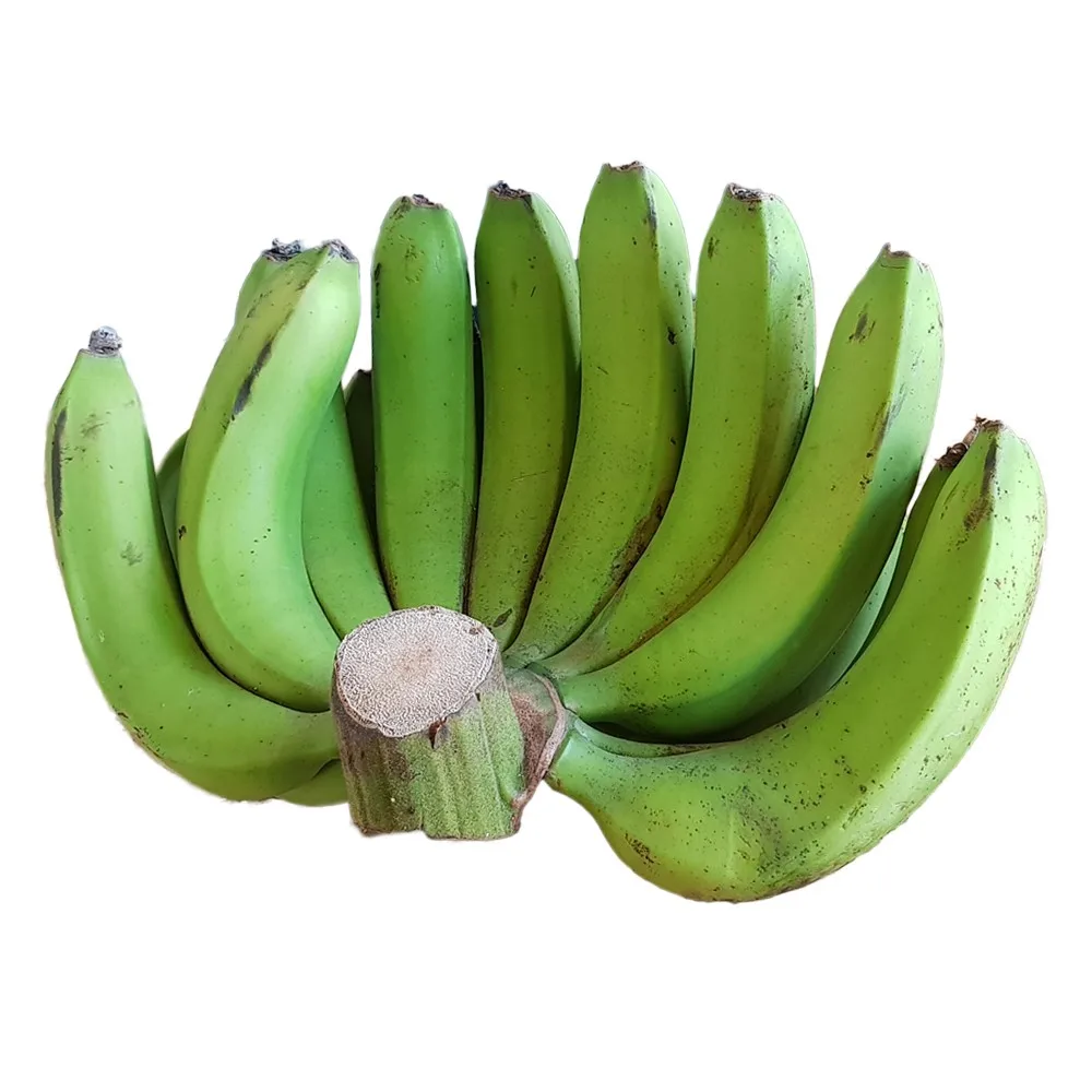 越南优质有机香蕉具有许多好处和健康