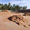 HIGH QUALITY COCONUT FIBER NEW PRODUCT