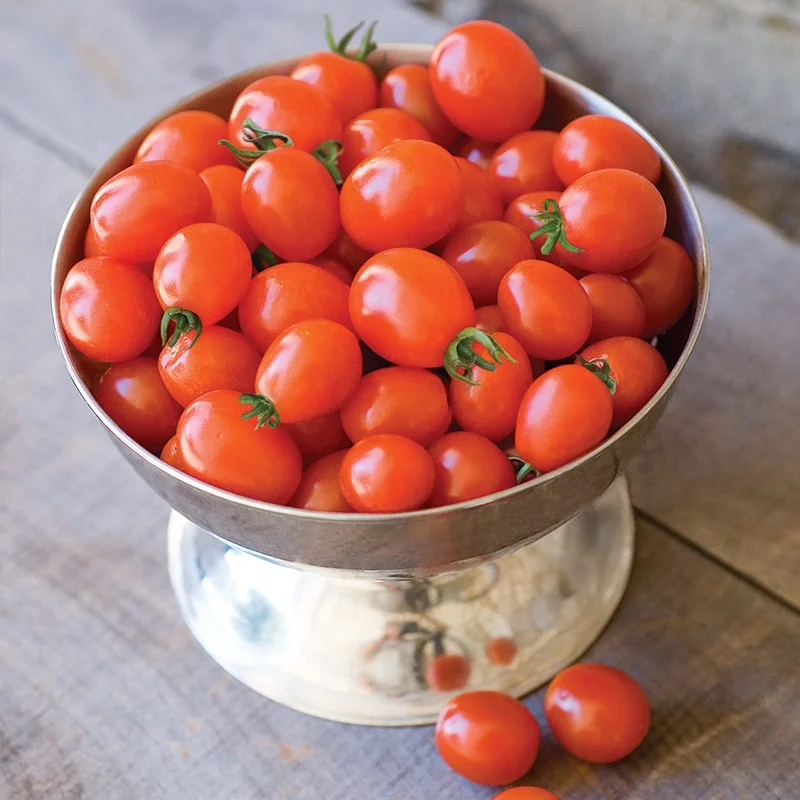 delicious health brand names fresh red organic tomato made in