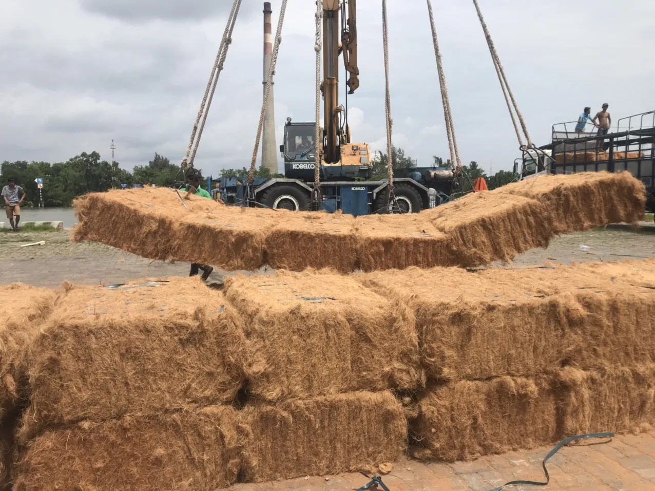 Big Sales Coir Matting Roll /coir Rope /coconut Fiber Supplier Buy