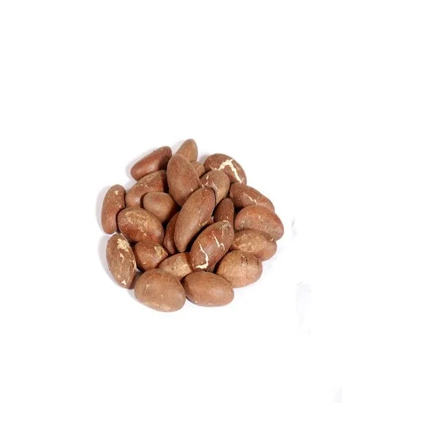 Fresh Dried Bitter Kola/ Bitter Kola Nuts - Buy Kola Nut,M14x1.25 Nuts ...