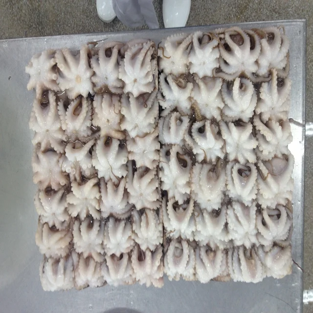 
Frozen Baby Octopus/Baby Octopus in Viet Nam- best price 