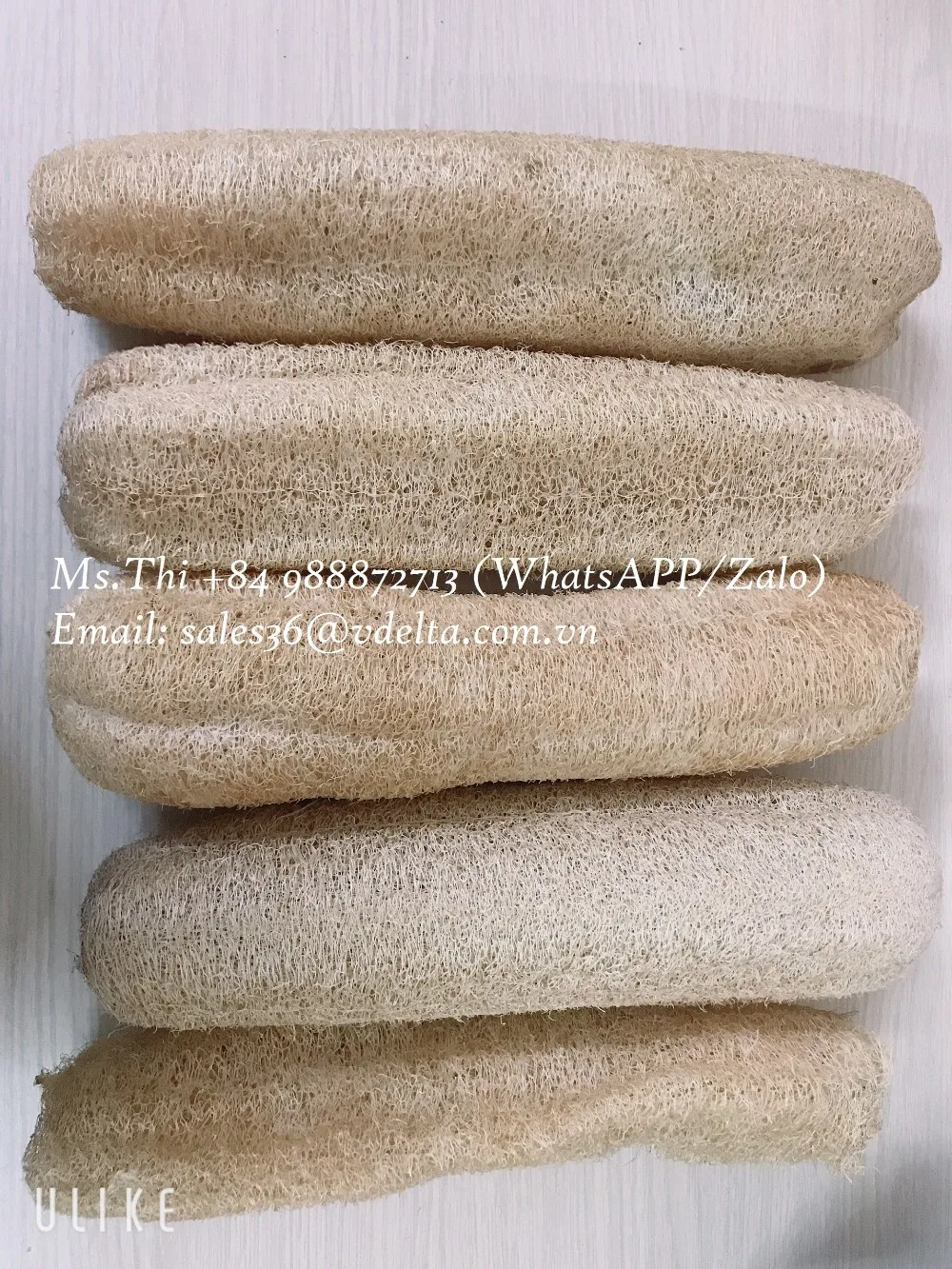 Wholesale Loofah Pad Cheap And Bulk Body Scrubber Organic Disposable And Eco Luffa For Bath