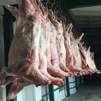 
WHOLESALE FROZEN BONELESS BEEF/COW MEAT / BEEF CARCASS 