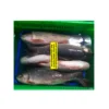 IQF Frozen Rohu fish whole round, HGT, gutted, fillet, steak/ rohu fish from Vietnam for sales / whatsapp 0084917918175
