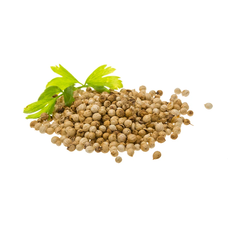 premium quality coriander seeds