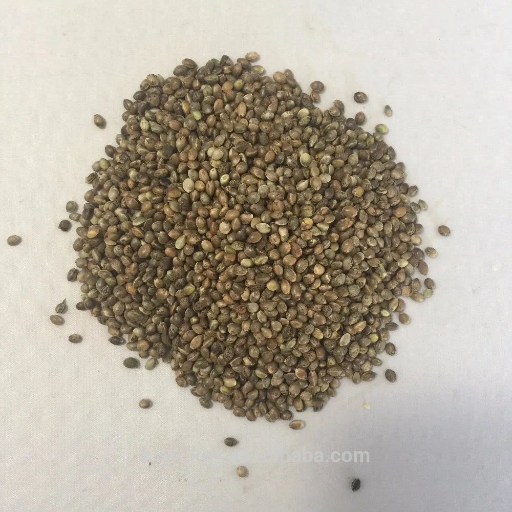 亚洲有机 hulled 大麻种子去壳大麻种子