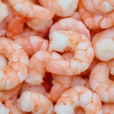 the best price dried shrimp from vietnam