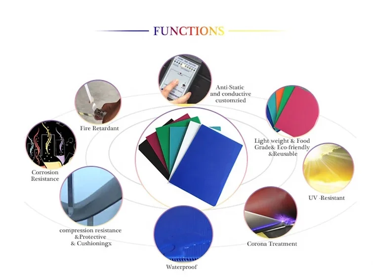 pp cor functions.png