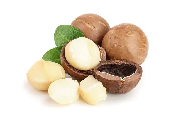 Best Quality Macadamia Nut/ QUALITY ALMOND, MACADEMIA