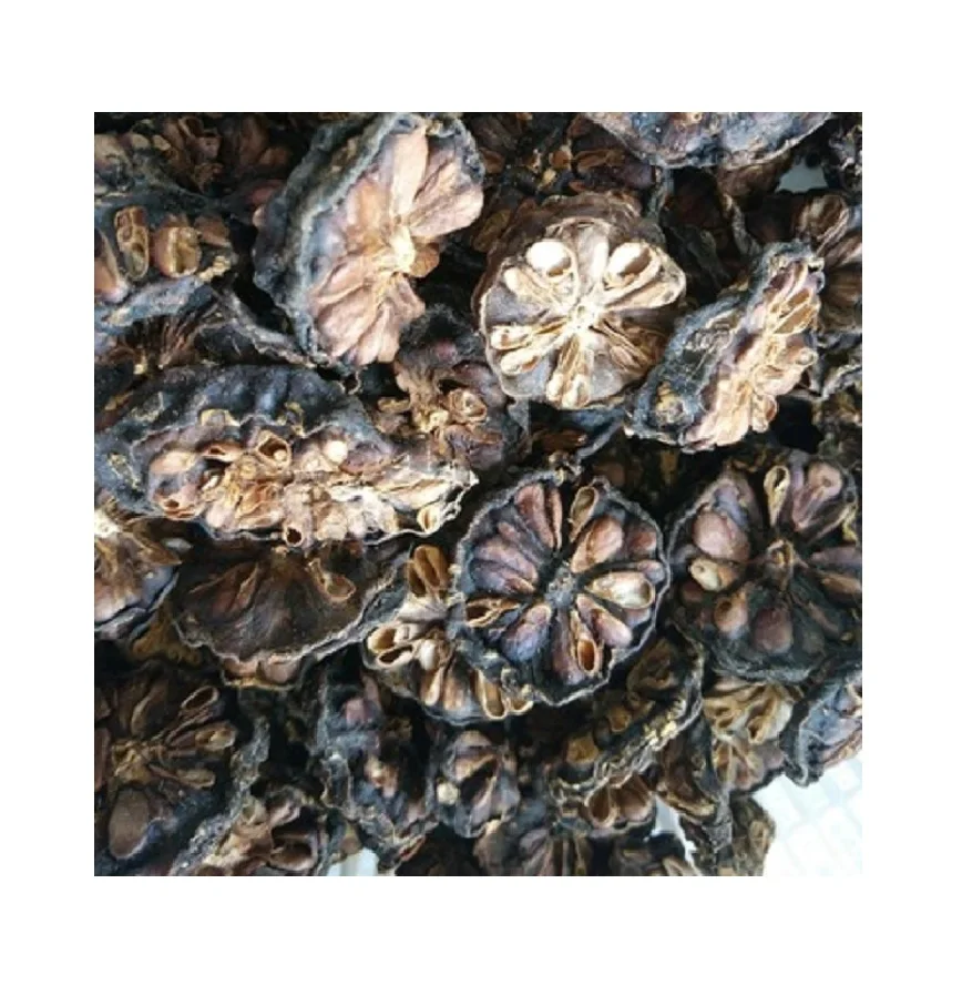 Dried Betel Nut From Natural Betel Nut/ Dried Areca Nut With High