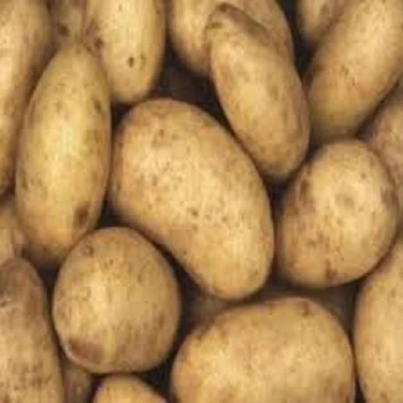 FRESH QUALITY SWEET POTATO