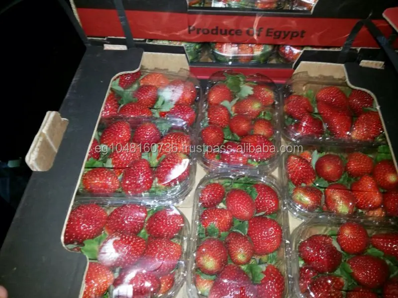IMG-20141122-WA0000 - Copy.jpg