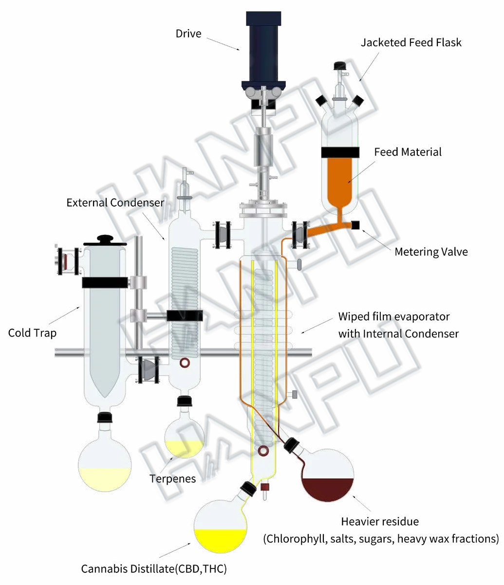 分子蒸馏精油蒸馏设备