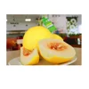 Golden Melon - Fresh Yellow Melon From Vietnam (LAM SON) 1-1,4 kg/fruit