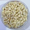 Cahew nut WW320/ WW320 cahew kernels/ Vietnam cashew nuts