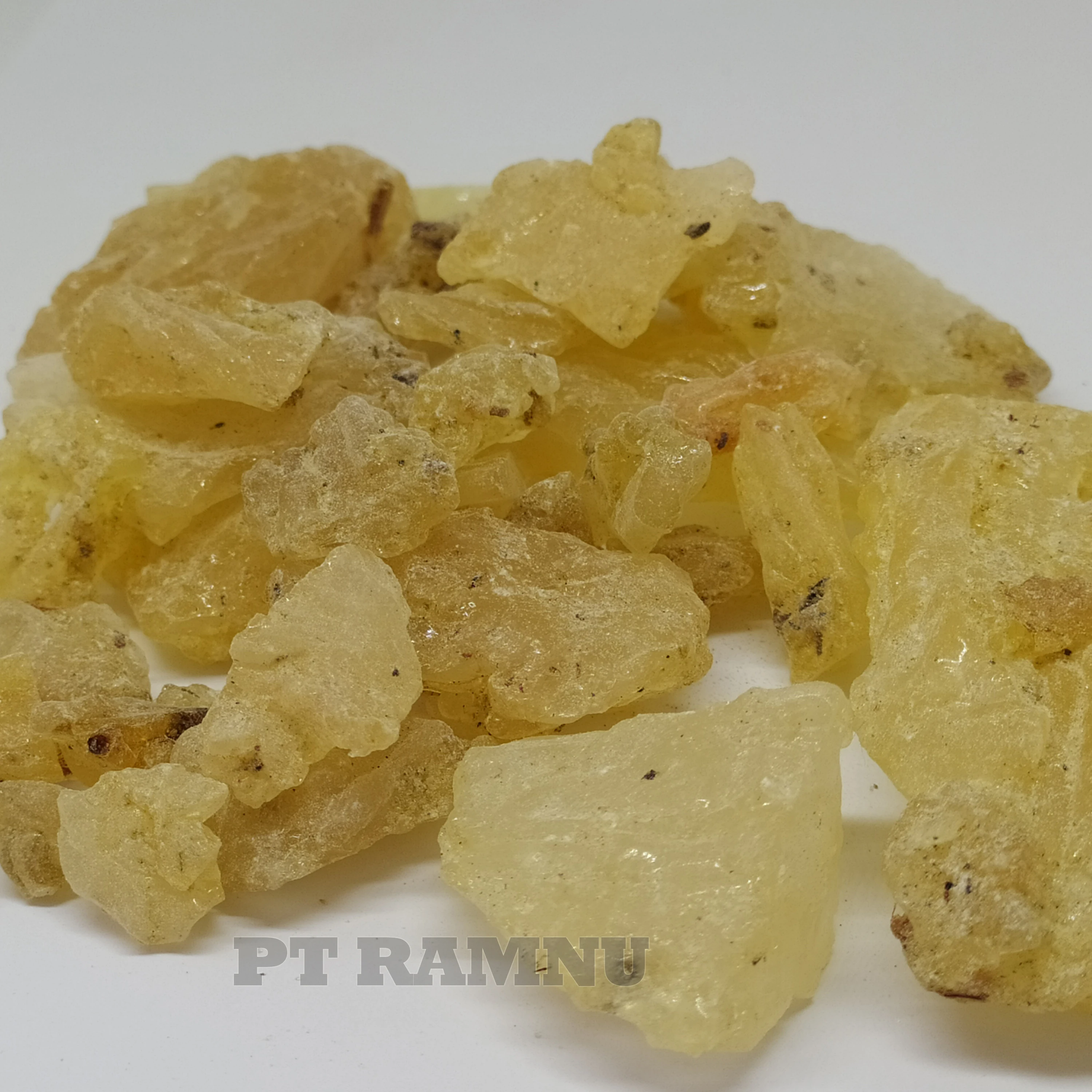 
Gum Copal PWS High Quality from Indonesia 