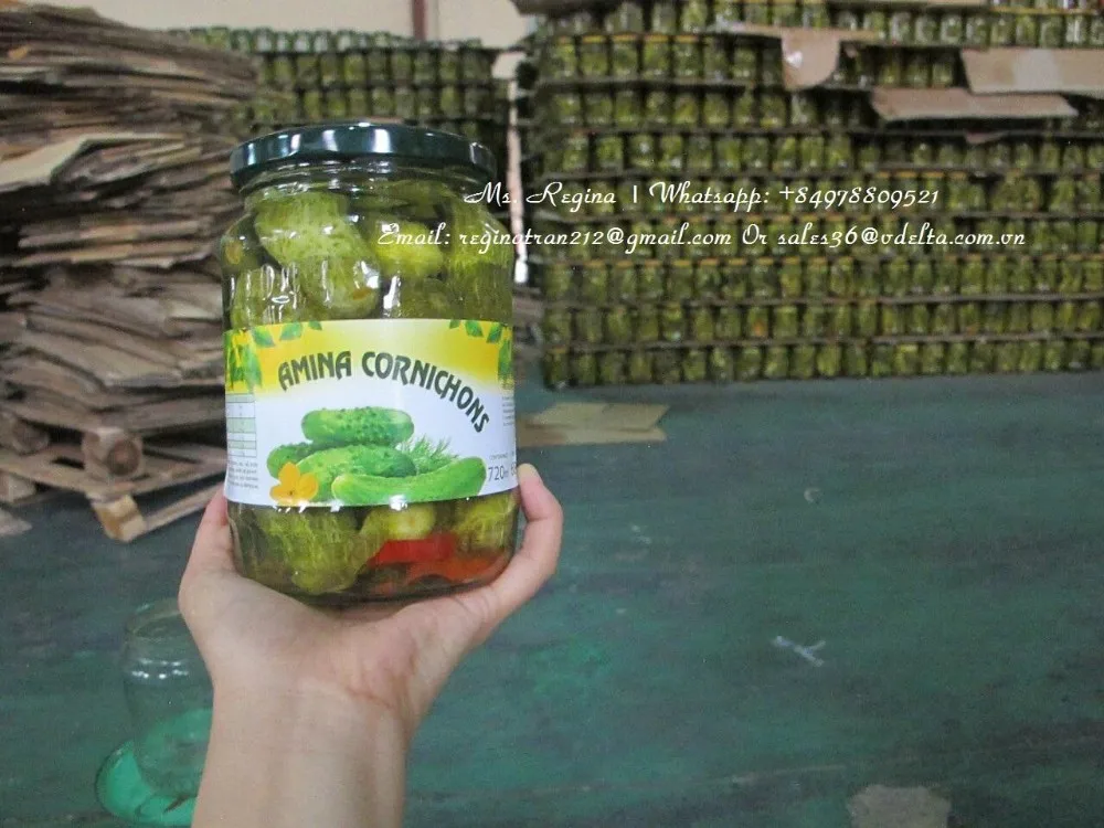 Canned Pickled Cucumber Export / Canned Pickled Gherkins // Ms. Lima
