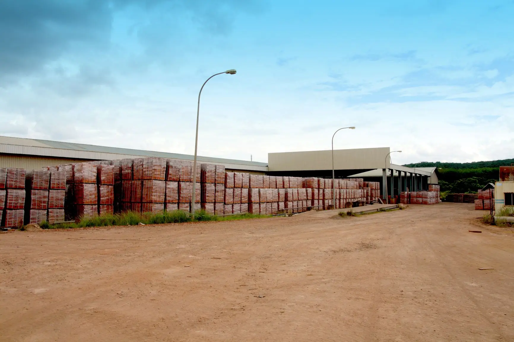 DPP_0001 alibaba.JPG