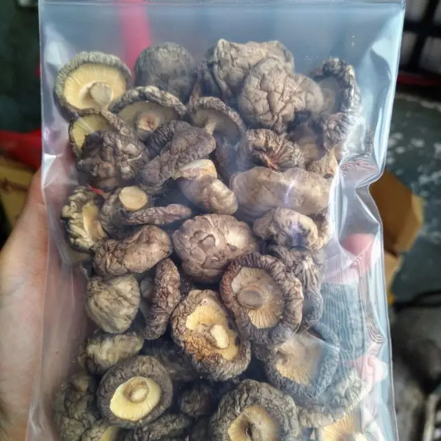 Wholesale Dried Shiitake Mushroom/ Dried Mushroom/ 100 Nam Mushroom Ms. Lily +84 906 927 736