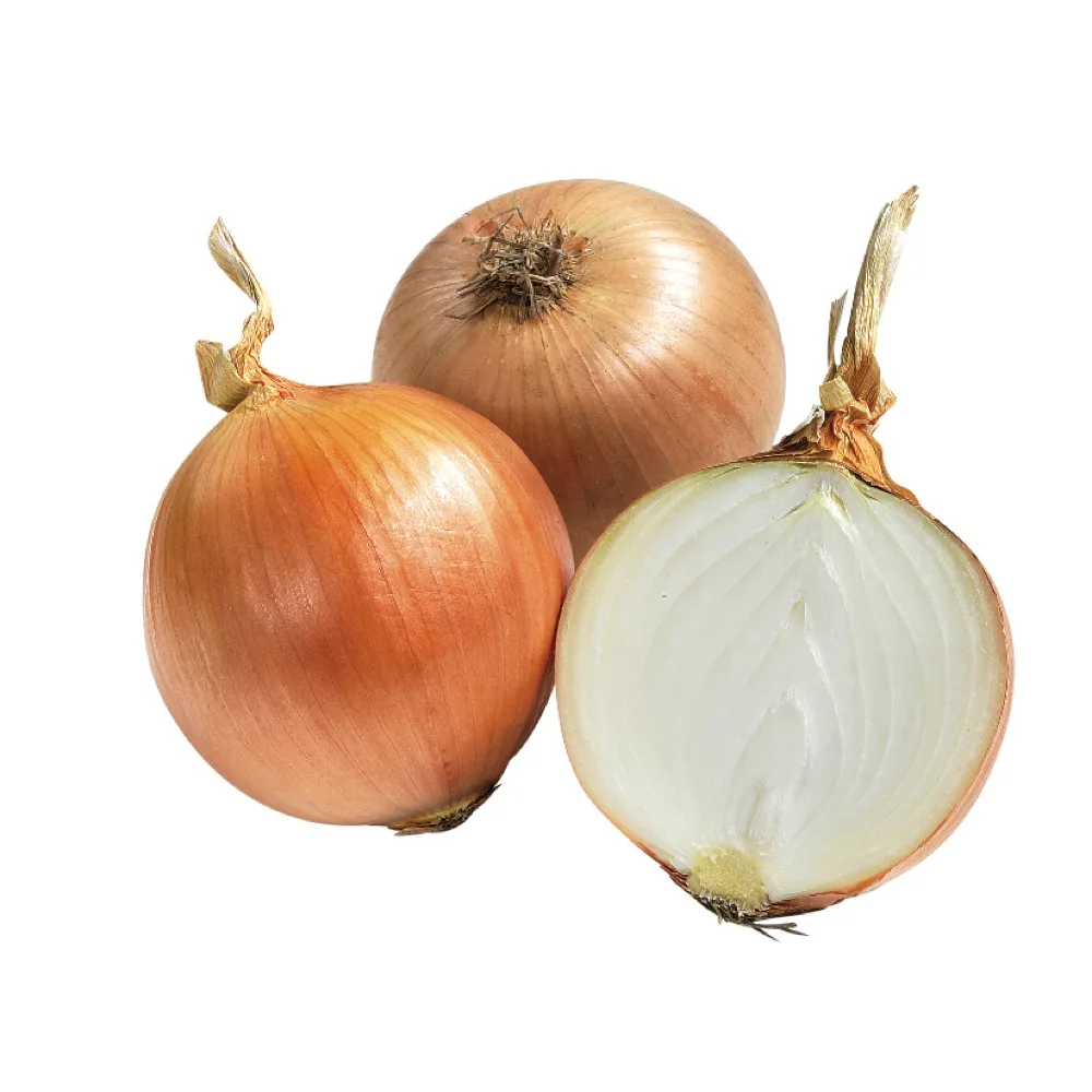 bulk german no peeled fresh natural yellow onion - buy fresh