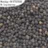 GOOD-QUALITY BLACK PEPPER 570G/L MACHINE-CLEANED DRIED BY AD METHOD