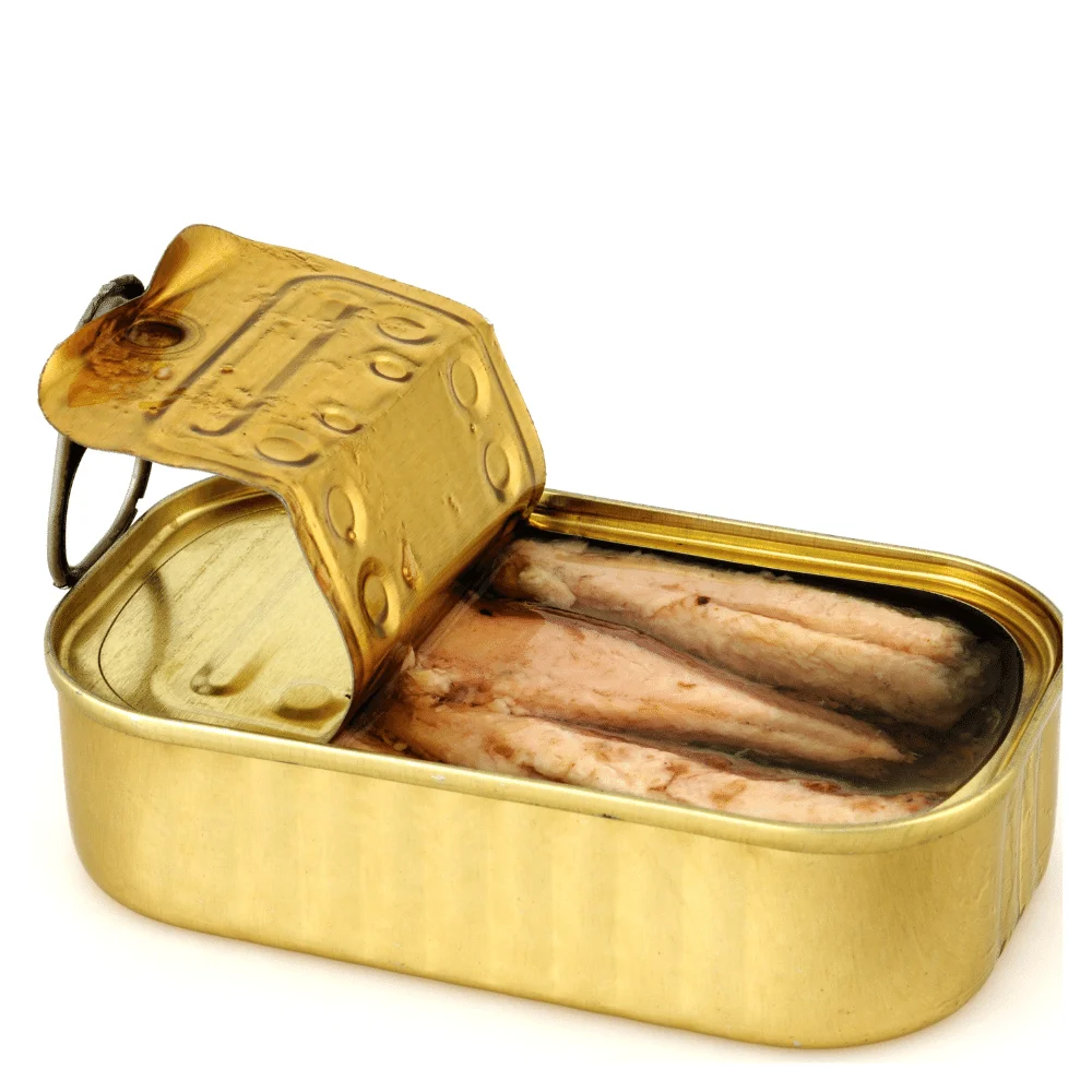 frozen sardine fish - processed sardine fish - canned sardine
