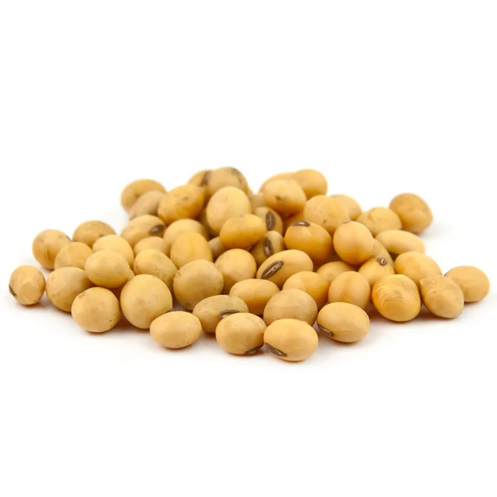 
Wholesale organic soybeans, cheap prices 