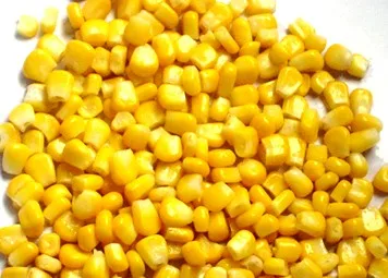 yellow maize10.jpg