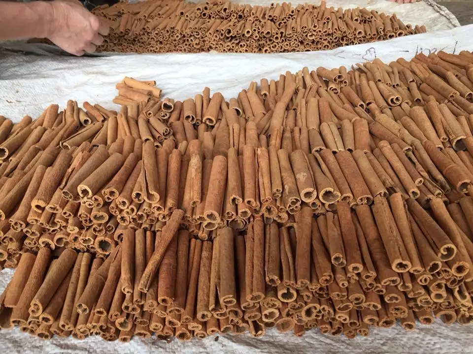 Vietnam Spices Cinnamon Stick Split Cassia Sticks Long Size 2 40cm Top Exporter In Vietnam As