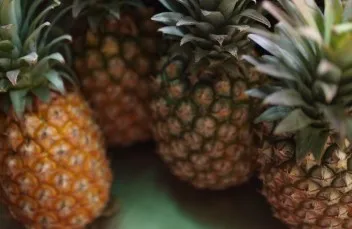 bromelain enzyme.jpg