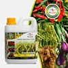 The Cheapest Organic Fertilizer Price in Asia with High Quality Processing and Packaging using Latest Biotechnology Microbes