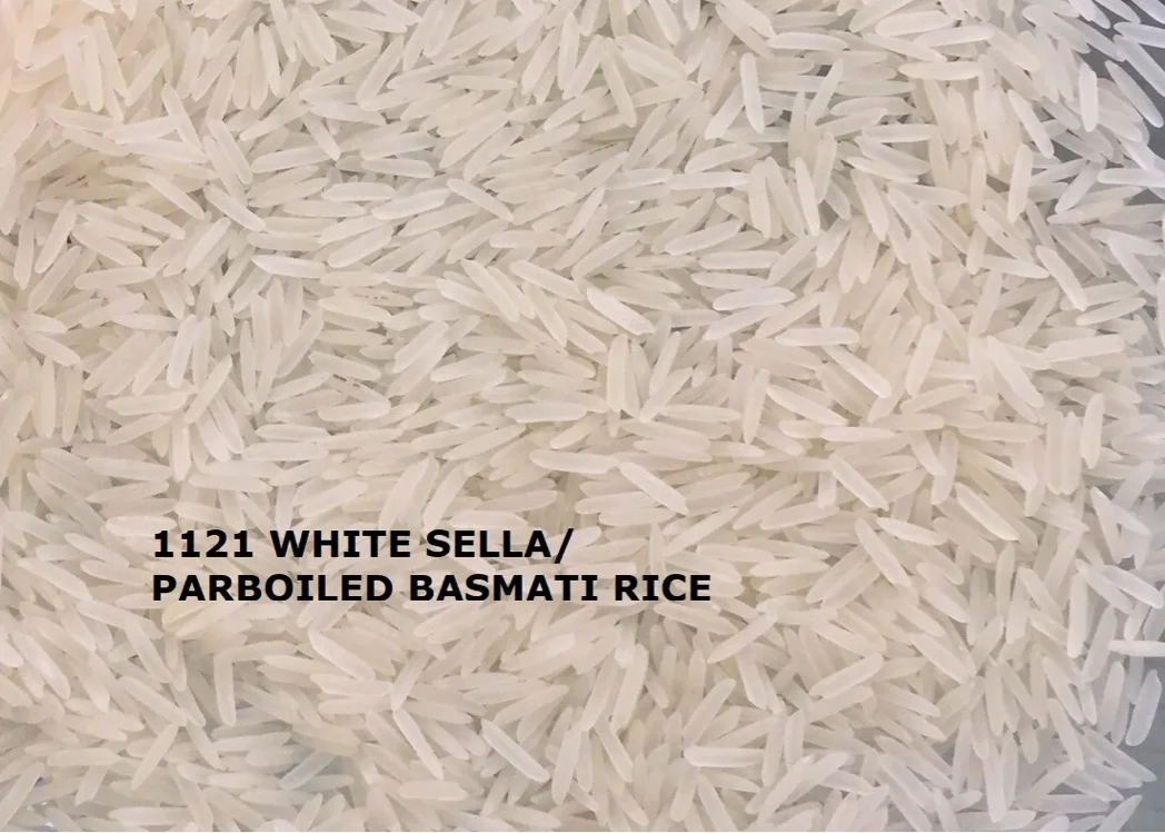 white sela .jpg
